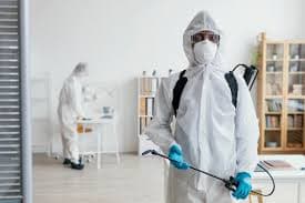 Professional pest control team Professional pest control team