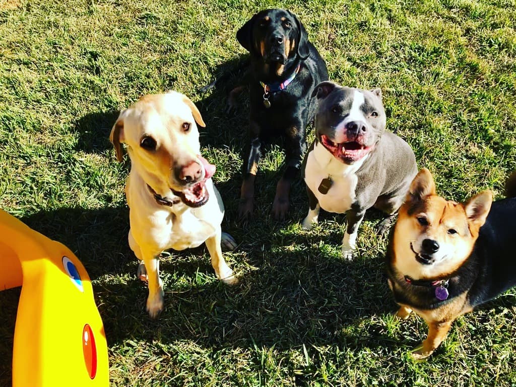 Pregnancy 3 Pregnancy 3