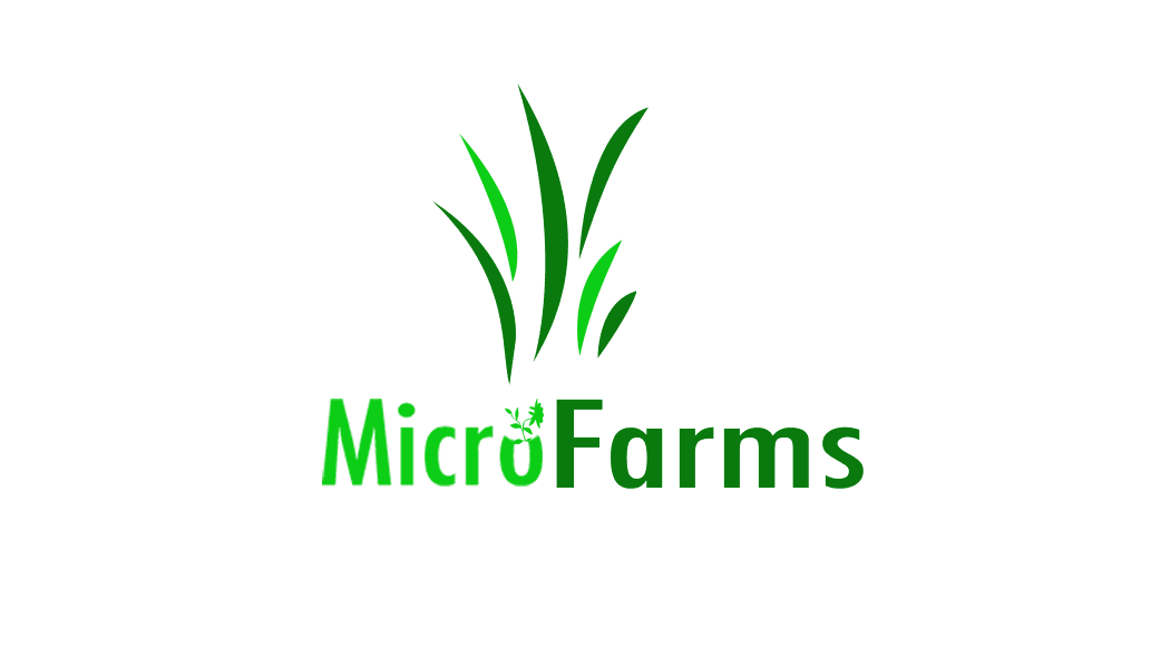 Freshly harvested microgreens Freshly harvested microgreens