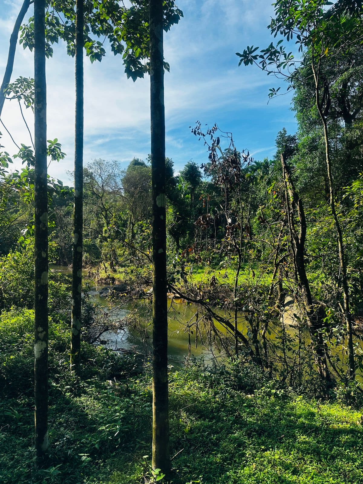 Serenity of a farm with green fields and blue skies Serenity of a farm with green fields and blue skies