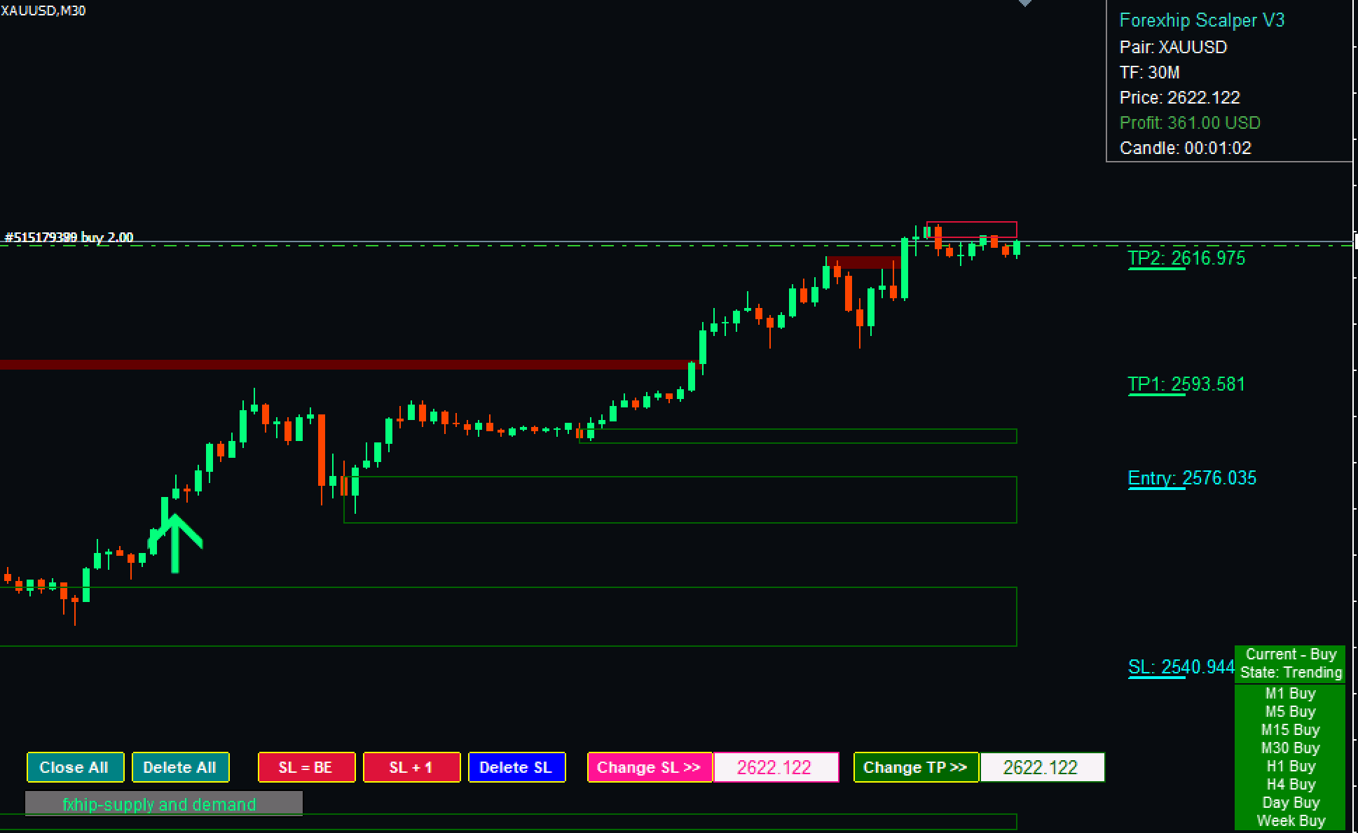 Businesswoman analyzing forex charts Businesswoman analyzing forex charts