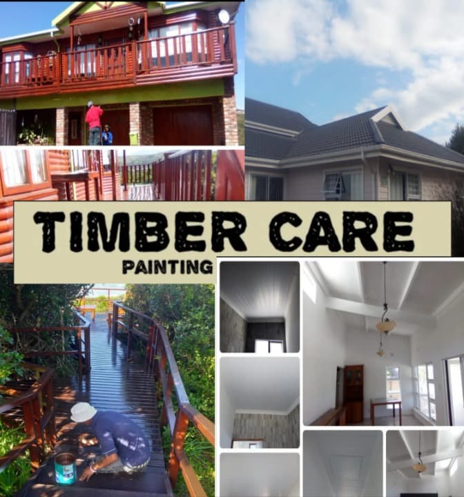 Professional painter in action Professional painter in action