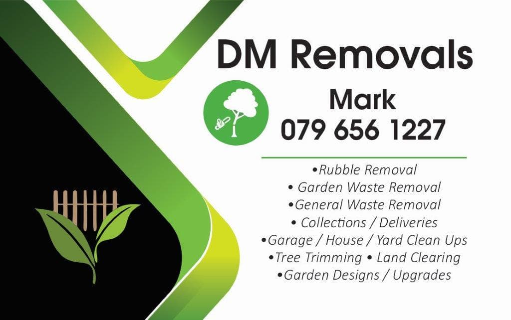 Professional palm tree cleanup Professional palm tree cleanup