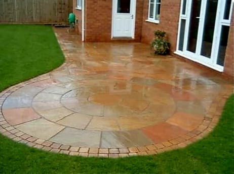 Lush garden with vibrant plants Lush garden with vibrant plants