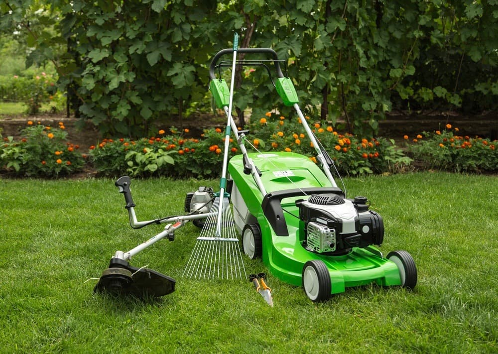 lush green garden lush green garden