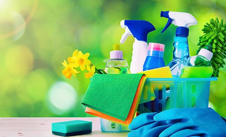 professional cleaner professional cleaner